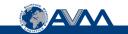AVM Storage & Shipping logo